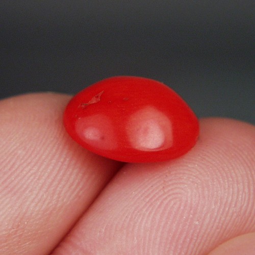 Rare Natural Ox Blood Coral Cab Italy 5.33 ct  Litnon.com
