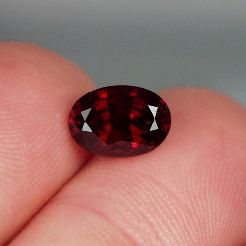 Fancy Cut Red Fire Crimson Color Umba River Garnet  Litnon.com
