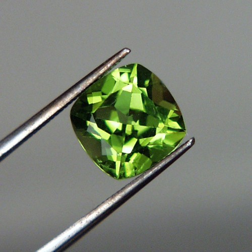 Gem Fine Cut and Color Pakistan Peridot 2.35 ct  Litnon.com