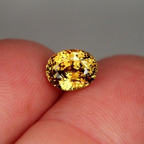 Brilliant Grossular Andradite Mali Garnet 2.63ct  Litnon.com