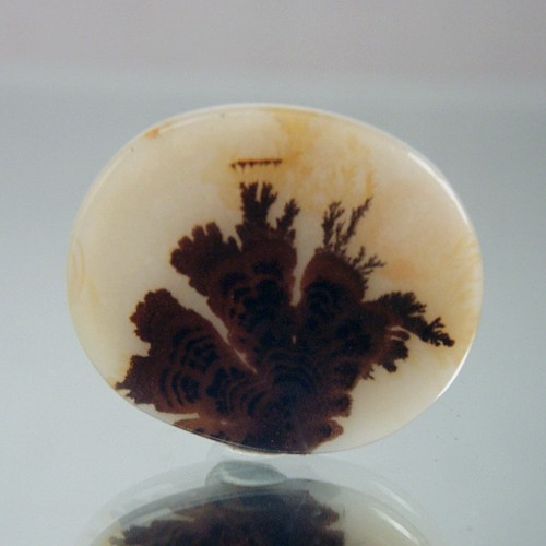 Rare Gem Grade Natural Dendritic Agate India  Litnon.com