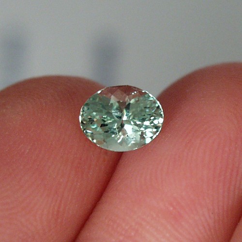 Brilliant Merelani Mint Green Garnet Tanzania 1.64ct  Litnon.com
