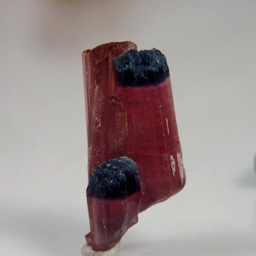 Collectors Tourmaline Crystal Specimen Afghanistan  Litnon.com