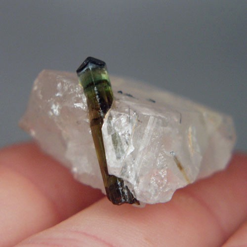 Collectors Tourmaline Crystal Specimen Afghanistan  Litnon.com
