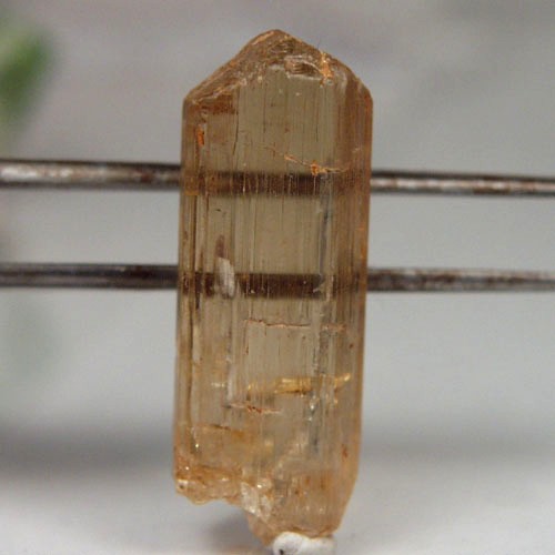 Collectors Facet Grade Golden Scapolite Crystal Tanzania  Litnon.com