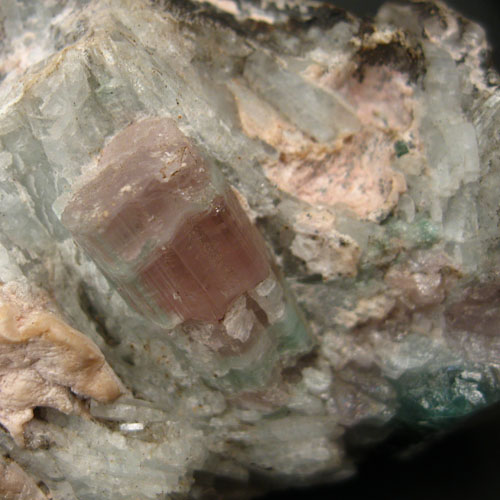 Collectors Cabinet AfghanistanTourmaline Specimen  Litnon.com