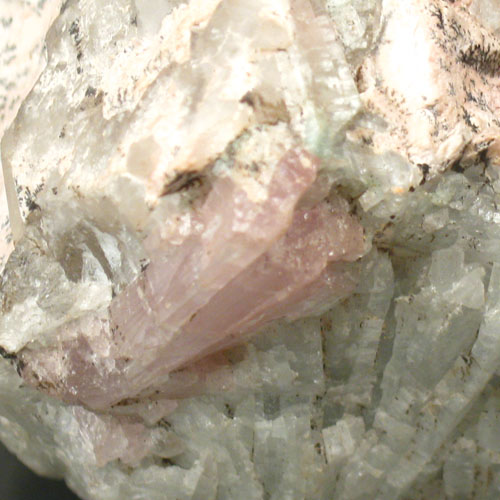 Collectors Cabinet AfghanistanTourmaline Specimen  Litnon.com