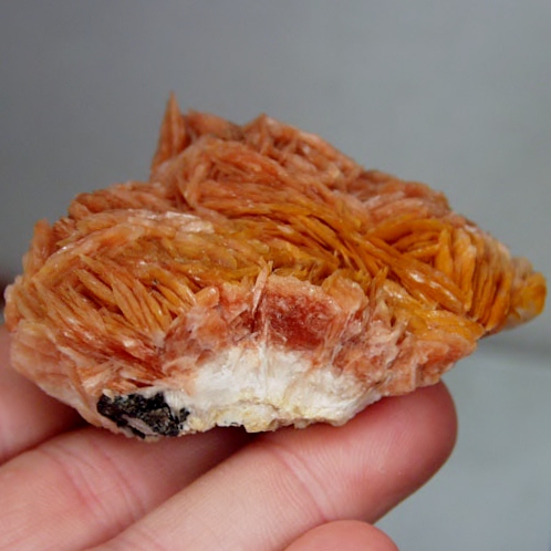 Bladed Orange Barite Mineral Specimen Morocco  Litnon.com