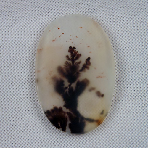 Rare and Fine Quality Scenic Dendritic Agate  Litnon.com