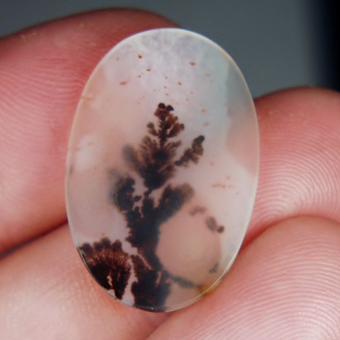  Rare and Fine Quality Scenic Dendritic Agate  Litnon.com