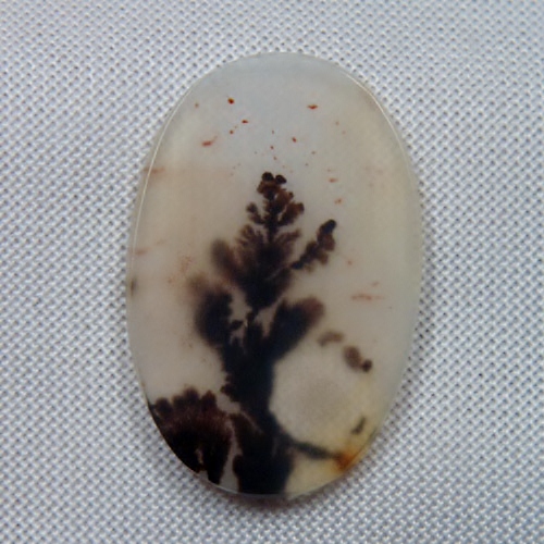  Rare and Fine Quality Scenic Dendritic Agate  Litnon.com
