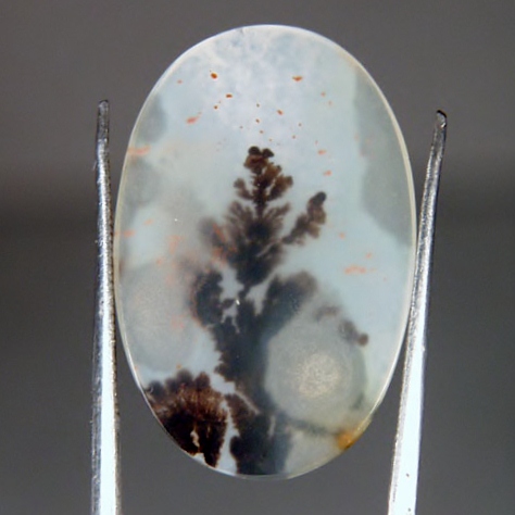  Rare and Fine Quality Scenic Dendritic Agate  Litnon.com