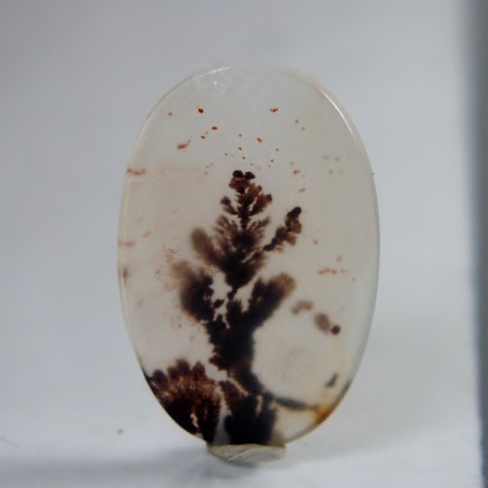  Rare and Fine Quality Scenic Dendritic Agate  Litnon.com
