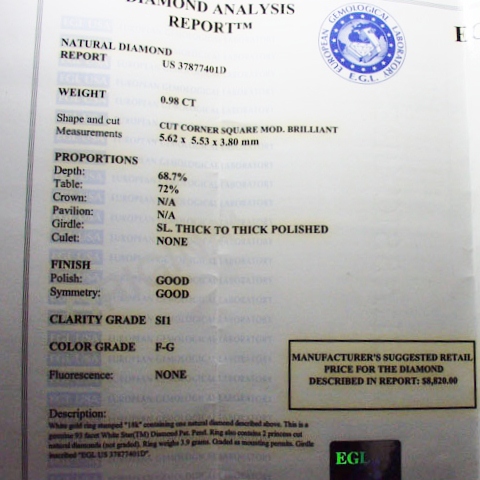 EGL Certified SI-1 F-G Color Princess Cut Diamond Platinum Engagement Ring 0.98 ct  Litnon.com