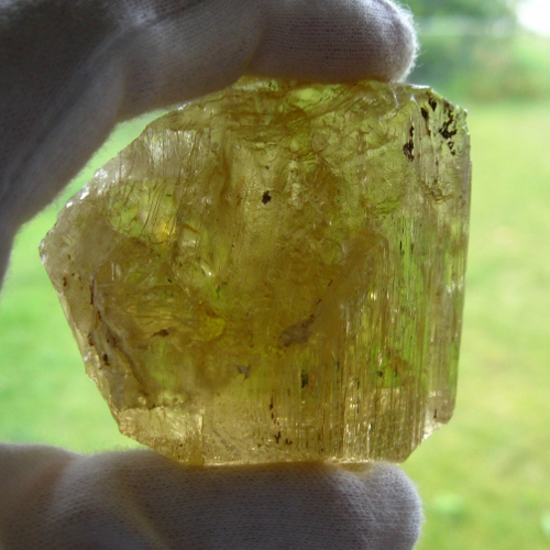 Rare Golden Scapolite Specimen Grade Crystal 575ct Tanzania  Litnon.com