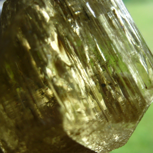 Rare Golden Scapolite Specimen Grade Crystal 575ct Tanzania  Litnon.com