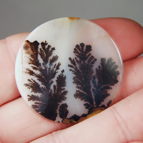  Big and Rare Fine Quality Scenic Dendritic Agate India  Litnon.com