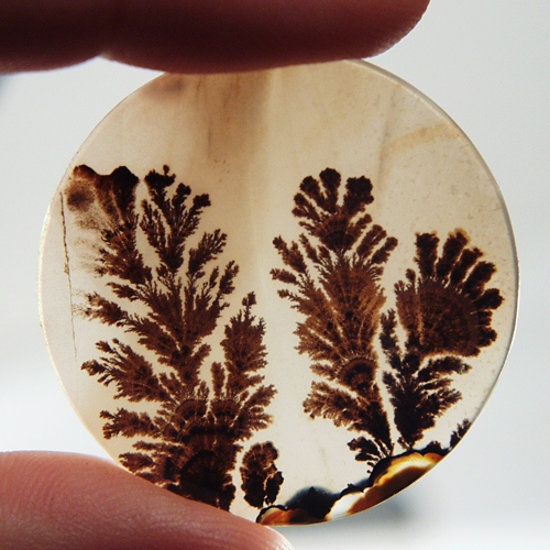  Big and Rare Fine Quality Scenic Dendritic Agate India  Litnon.com