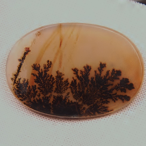 Gem One Of A Kind Scenic Dendritic Agate Gem Stone  Litnon.com