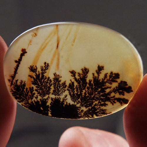 Gem One Of A Kind Scenic Dendritic Agate Gem Stone  Litnon.com