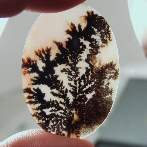  Big and Rare Fine Quality Scenic Dendritic Agate India  Litnon.com