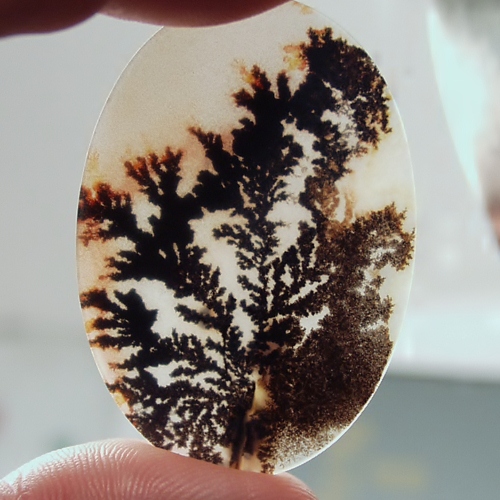  Big and Rare Fine Quality Scenic Dendritic Agate India  Litnon.com