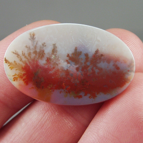 All Natural Fine Quality Dendritic Agate India  Litnon.com