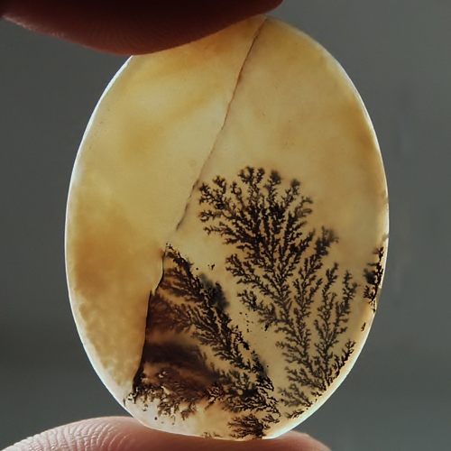  Big and Rare Fine Quality Scenic Dendritic Agate India  Litnon.com