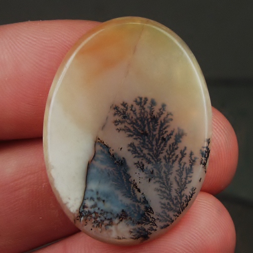  Big and Rare Fine Quality Scenic Dendritic Agate India  Litnon.com