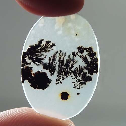 Rare Quality Scenic Dendritic Agate Litnon.com