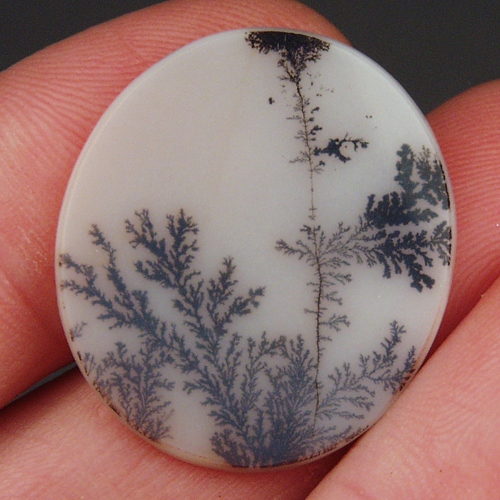  Rare and Fine Quality Scenic Dendritic Agate  Litnon.com