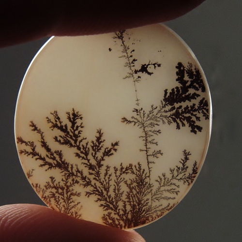  Rare and Fine Quality Scenic Dendritic Agate  Litnon.com