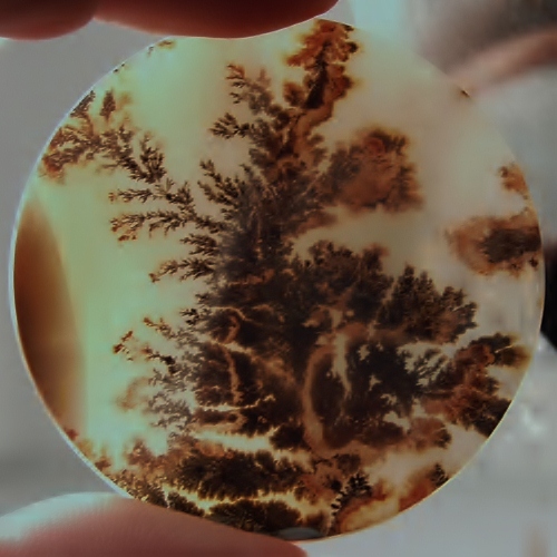 Big and Rare Fine Quality Scenic Dendritic Agate India  Litnon.com