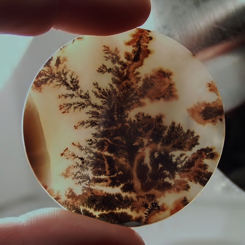 Big and Rare Fine Quality Scenic Dendritic Agate India  Litnon.com