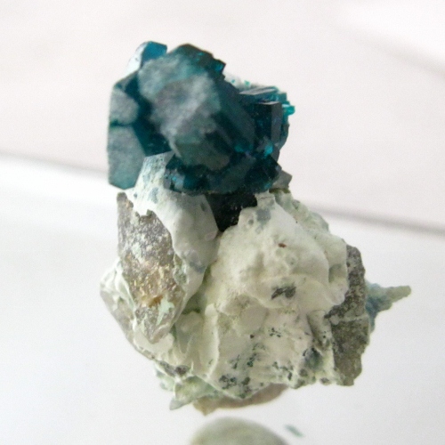 NR Top Color Blue Green Tsumeb Dioptase Specimen  Litnon.com