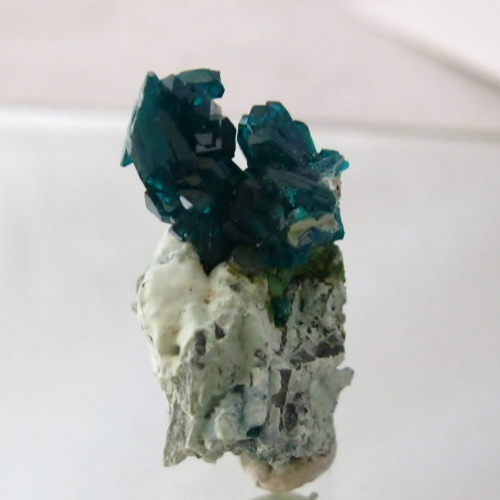 NR Top Color Blue Green Tsumeb Dioptase Specimen  Litnon.com
