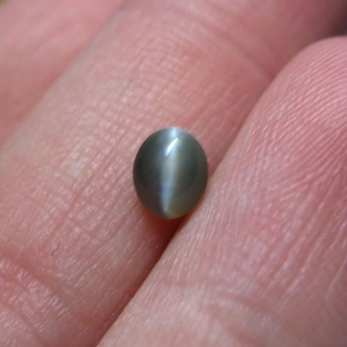 Rare Sharp Cats Eye Chrysoberyl Cabochon 0.80 carats Litnon.com