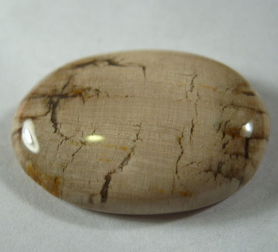 Unusual Fossilized Pioneer Wood Cabochon  Litnon.com