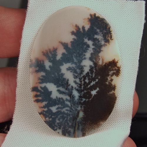  Big and Rare Fine Quality Scenic Dendritic Agate India  Litnon.com