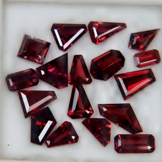 Fancy Cut Umba River Mixed Species Garnet Lot Tanzania 12.91ct  Litnon.com