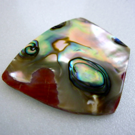 Color Iridescent California Red Abalone Cut Gem  Litnon.com