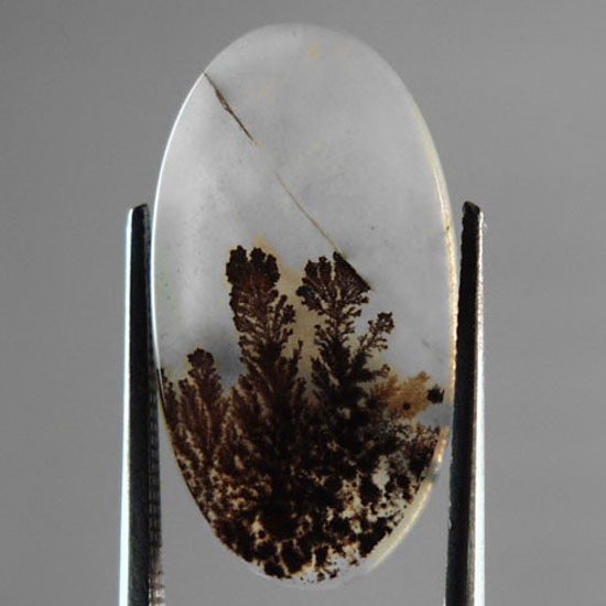  Rare and Fine Quality Scenic Dendritic Agate  Litnon.com