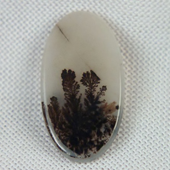  Rare and Fine Quality Scenic Dendritic Agate  Litnon.com