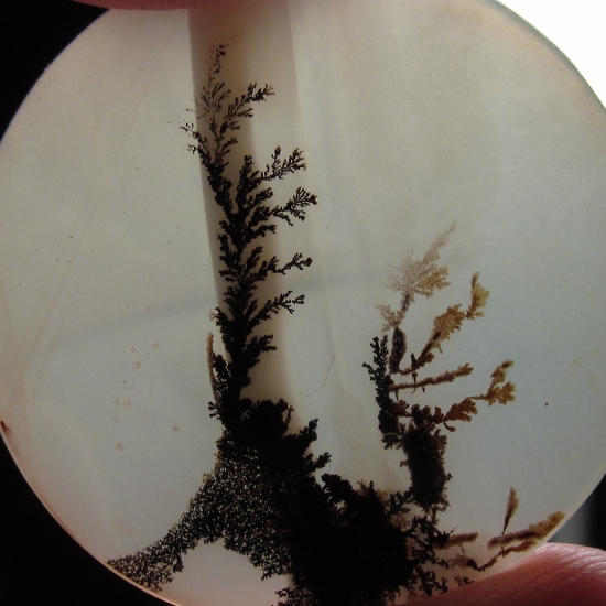 Big and Rare Fine Quality Natural Dendritic Agate India  Litnon.com