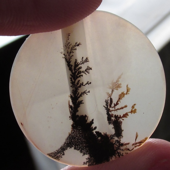 Big and Rare Fine Quality Natural Dendritic Agate India  Litnon.com