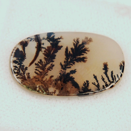 Rare Fine Quality Natural Dendritic Agate India  Litnon.com