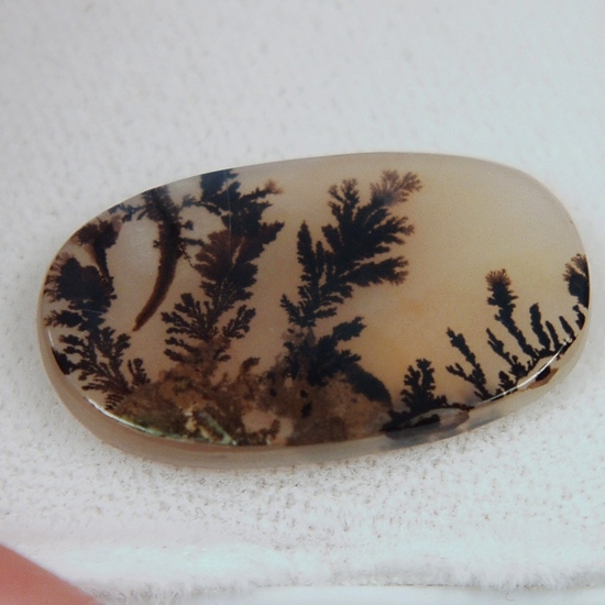 Rare Fine Quality Natural Dendritic Agate India  Litnon.com