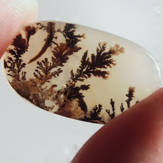 Rare Fine Quality Natural Dendritic Agate India  Litnon.com