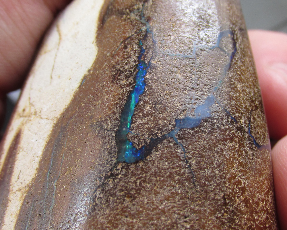  Big Queensland Boulder Opal Specimen - Rough 200 grams  Litnon.com