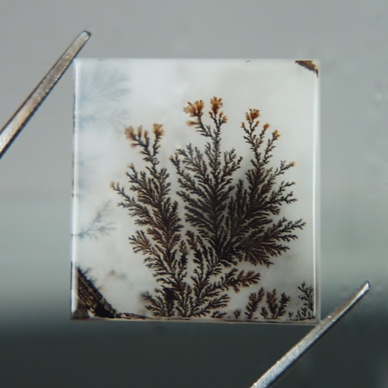  Superb Quality Natural Scenic Dendritic Agate India  Litnon.com